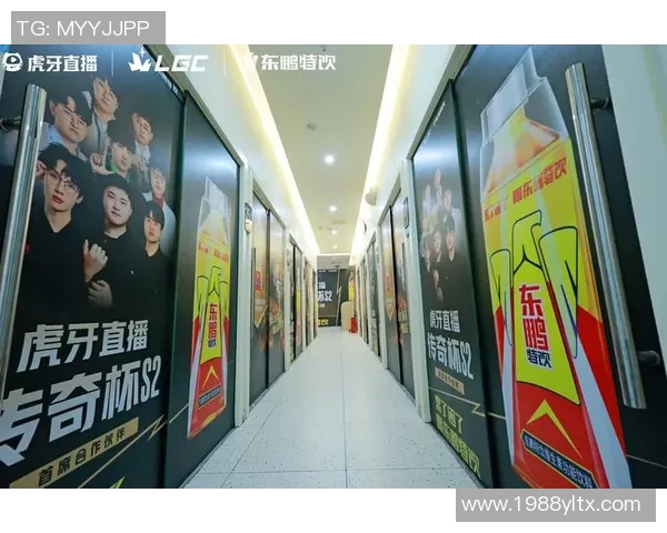 杨芳在S15电竞总决赛中的英雄联盟人生深度探讨与成长历程分享